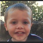 Profile Picture of Brian (@brian_pingouin) on Instagram
