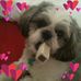 Profile Picture of Kathy Maddocks (@Kathy-Maddocks) on Facebook