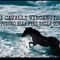 Profile Picture of Michele Dicorato (@Michele-Dicorato) on Facebook