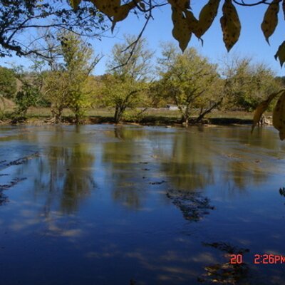 Profile Picture of Nancy M. Mathews (@IDigintheDirt) on Twitter