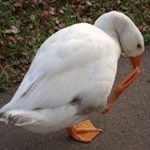 Wesley Halstead - Instagram Profile Picture of Wesley Halstead (@wesley_halste) on Instagram