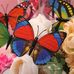 Profile Picture of Barbara Wilkowski (@barbara.wilkowski.7) on Facebook