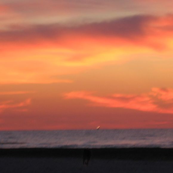 Profile Picture of Diane Hurd (@momsmoon) on Poshmark