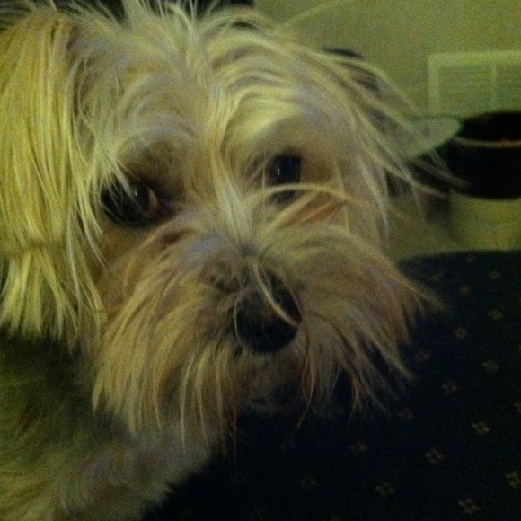 Profile Picture of Kelli Beckler (@kelliraee) on Poshmark