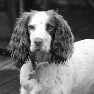 Profile Picture of Benjamin Cardy (@BenjaminCardy) on Twitter