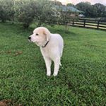 David Zieman - Instagram Profile Picture of David Zieman (@5at_z) on Instagram