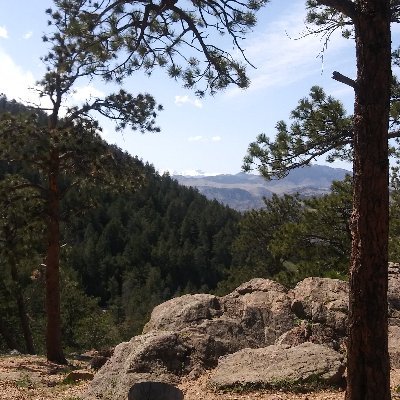 Profile Picture of Phyllis Murphy (@Phyllis37466478) on Twitter