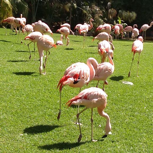 Profile Picture of Benjamin Li (@benjaminlisong) on Tiktok