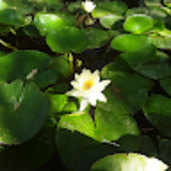 Andrea Franchini - Poshmark Profile Picture of Andrea Franchini (@andreafranch471) on Poshmark