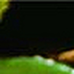 robert hutzler - Flickr Profile Picture of robert hutzler (@muck5) on Flickr