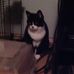 Profile Picture of Larry Trout (@Larry-Trout) on Facebook