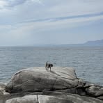 Profile Picture of Cody Paulsen (@cody.paulsen.79) on Facebook