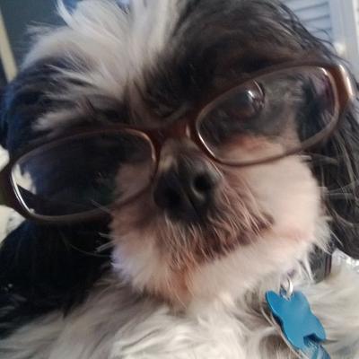 Profile Picture of Robin Abrams (@RobinAbrams1010) on Twitter