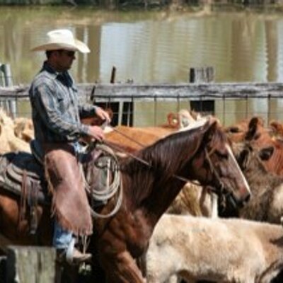 Profile Picture of Cory Godwin (@GodwinCory) on Twitter