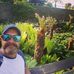 Profile Picture of Nicholas Harp (@Nicholas-Harp) on Facebook