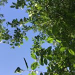 Profile Picture of Franziska Bernhard (@franzibernhard) on Instagram