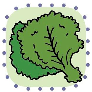 Profile Picture of Mark Of Kale (@markofkale) on Twitter