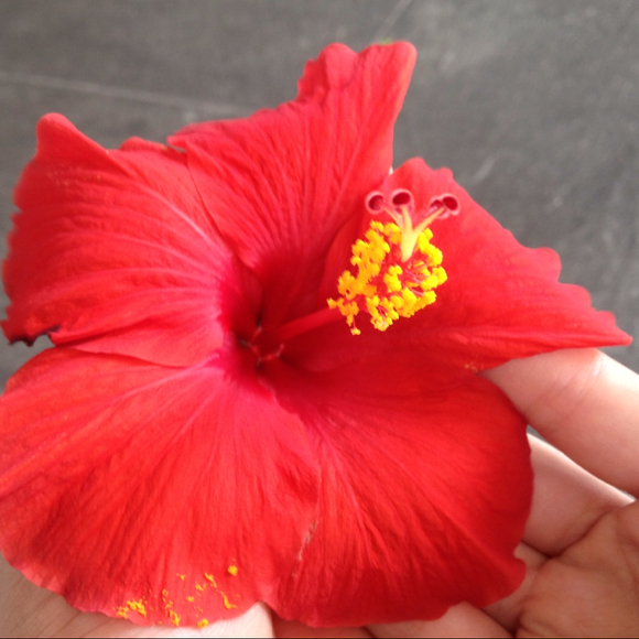 Profile Picture of Marie Akselrod (@marie1994) on Poshmark