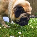 Profile Picture of Jacob Bonde (@jacob_bonde1) on Instagram