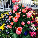 Profile Picture of Garo Ohanian (@garhor) on Instagram