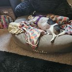 Profile Picture of Amy Stickels (@Amy-Stickels) on Facebook