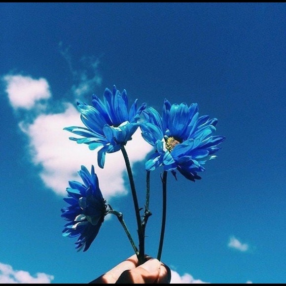 Ana Kulesh - Poshmark Profile Picture of Ana Kulesh (@anastacia_k) on Poshmark