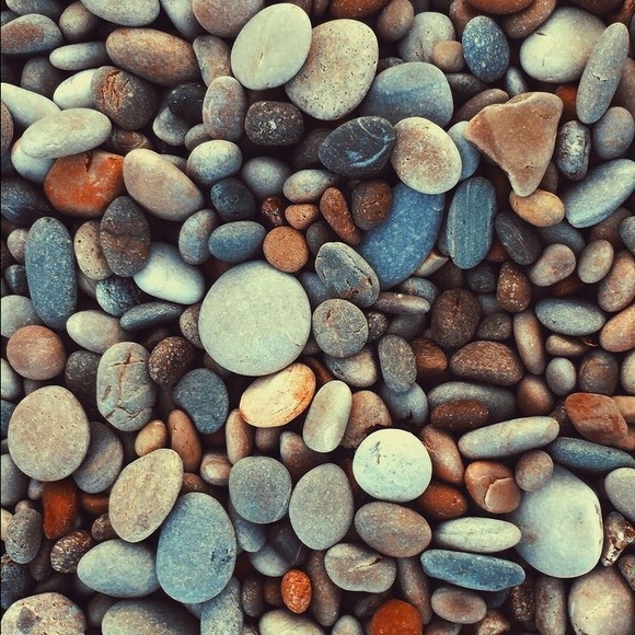 Profile Picture of Shelby Bourgoine (@sbourgoine) on Poshmark