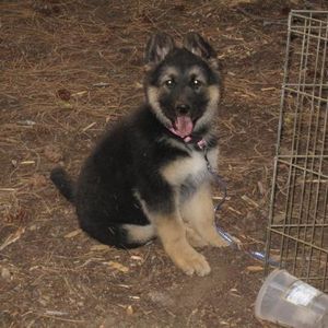 Profile Picture of Robin Mosier (@robinmosier) on Myspace