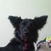 Profile Picture of Buffy Bailey (@buffy.bailey.35) on Facebook