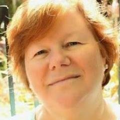 Profile Picture of Sue Engle (@SueEngleWriter) on Twitter