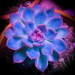 Profile Picture of Patrick Todd (@patricktodd582) on Instagram