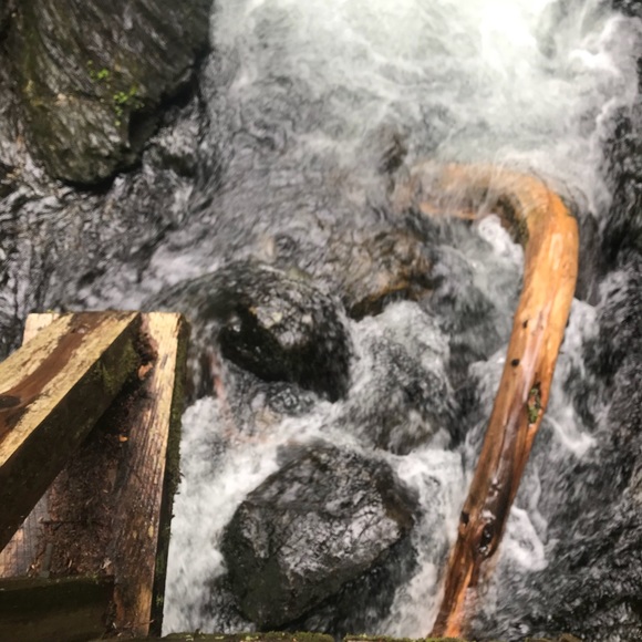 Profile Picture of Sam Cho (@sccch) on Poshmark