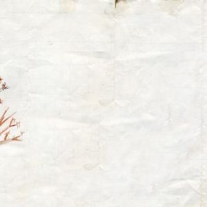 Profile Picture of Derailer (@derailermusic) on Myspace