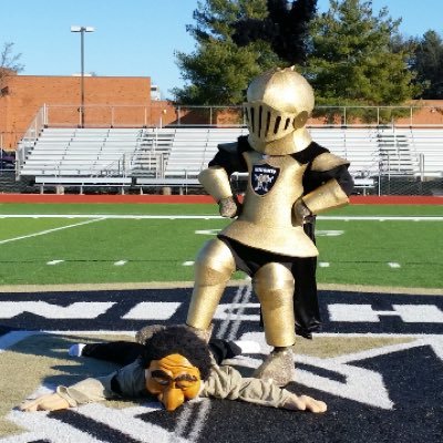 Profile Picture of Norm The Knight (@NormtheKnight) on Twitter