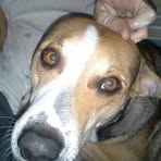 Profile Picture of Jesse Burger (@jesse.burger.5015) on Facebook