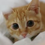 Profile Picture of nealstewart (@nealstewart800) on Instagram