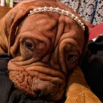 Profile Picture of Delcie Riggins (@destinyscott0717) on Instagram