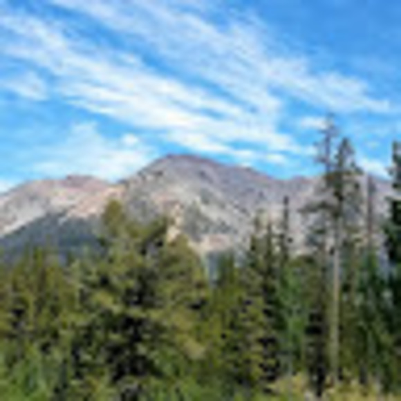 Profile Picture of Tom Newnham (@livingmemoriesi) on Poshmark