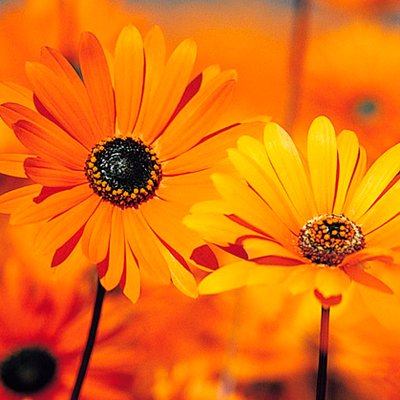 Profile Picture of Mark Joshua Bardon (@mark27123) on Twitter