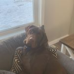 Tim Hilborn - Instagram Profile Picture of Tim Hilborn (@timhilborn) on Instagram