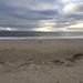 Profile Picture of Pam Wilkinson (@geechee24) on Pinterest
