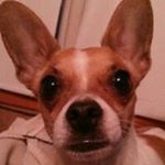 Profile Picture of Derek Wagner (@derekwagner123) on Instagram