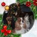 Profile Picture of Jim Holcomb (@jrceng01) on Pinterest