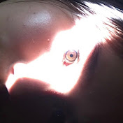 Profile Picture of Mariah Alvarez (@mariahalvarez6273) on Youtube