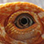 Profile Picture of %u7C92%u7C92 (@Li-yu,Qian) on Flickr