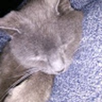 Profile Picture of Jean Davey (@jean-davey-6) on Quora