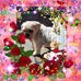 Profile Picture of Pat Logue (@pat.logue1) on Facebook