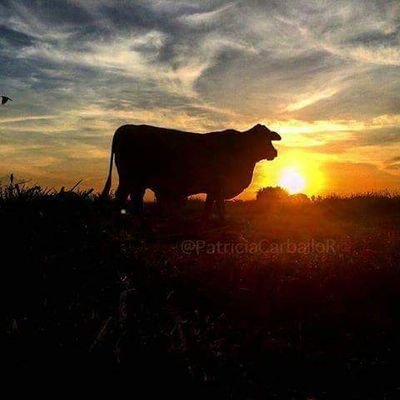 Profile Picture of Gabriel Hoyos (@gabrielhoyos79) on Twitter