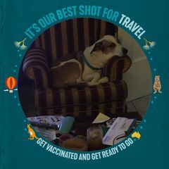 Michel Chasseur - Tiktok Profile Picture of Michel Chasseur (@michel.chasseur) on Tiktok