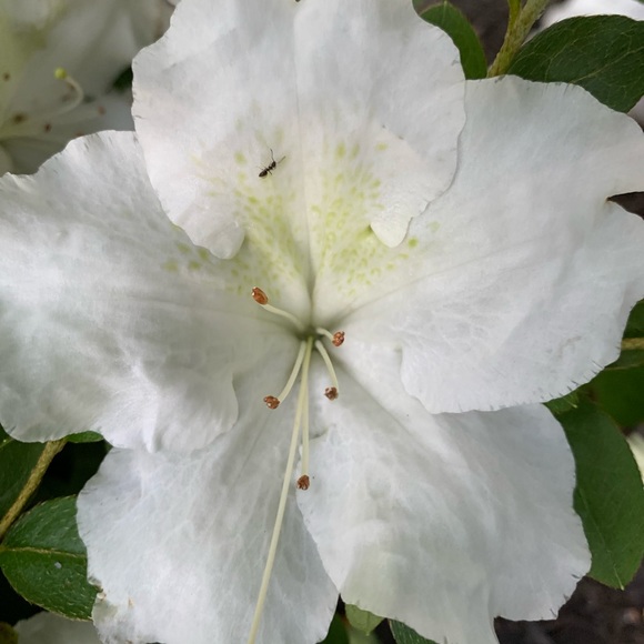 Profile Picture of Jacquelyn posh ambassador Williams (@jackster726) on Poshmark